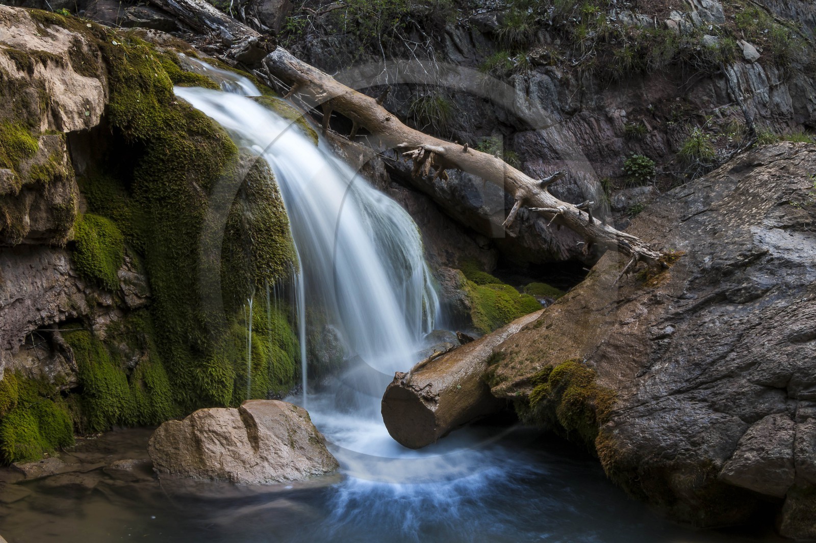 Torrent le Riou du Pont