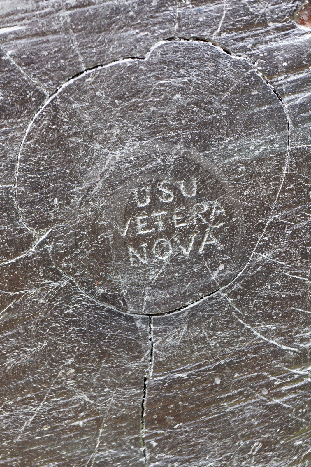 Sentiers Art et Nature Queyras et Val Varaita, Peter Gross