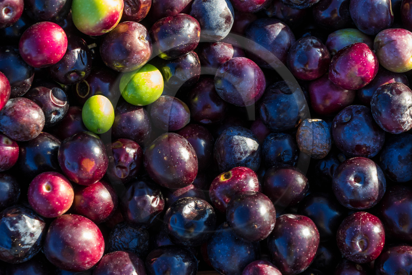 Moulin Jean-Marie Cornille