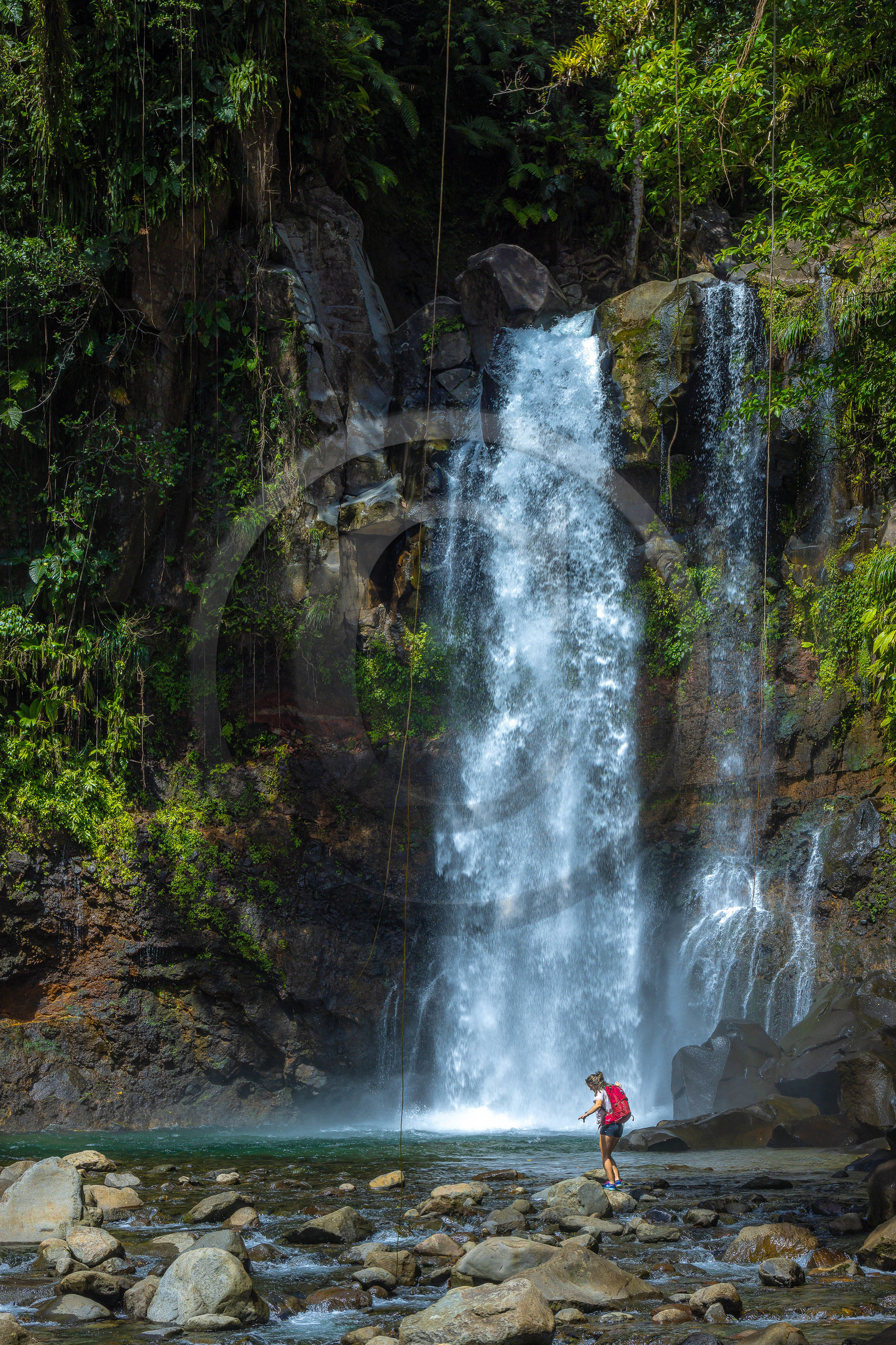 Chute du Carbet, Parc national de la Guadeloupe