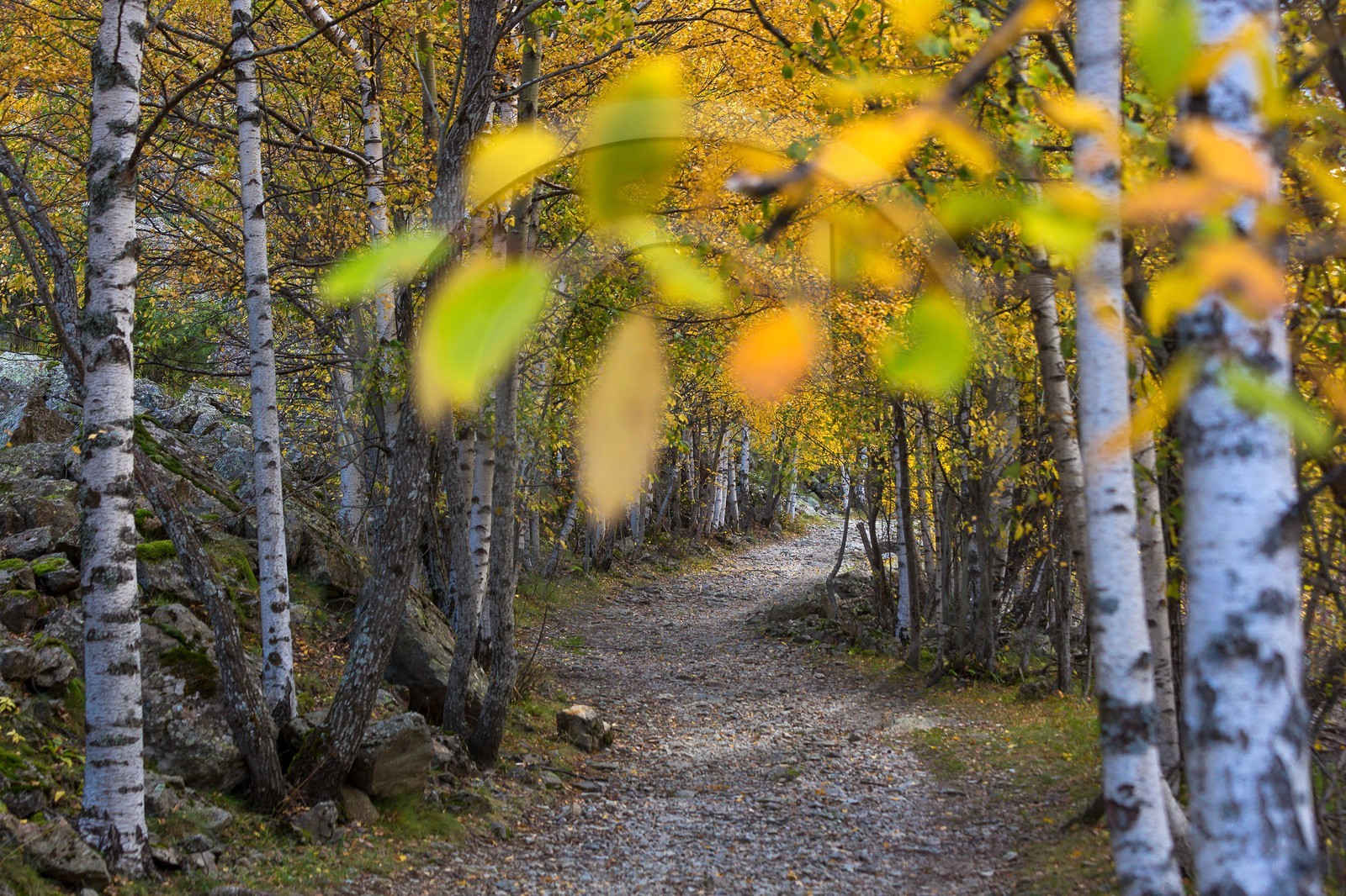 Vallée de la Bonne, village Le Désert