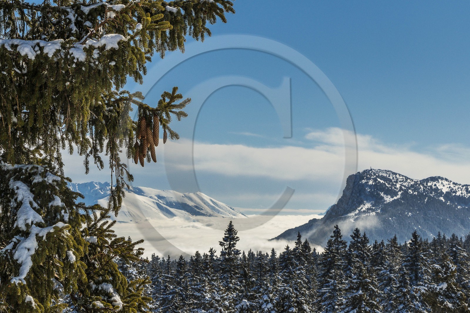 ENS de l'Isère, Plateau de la Molière et du Sornin
