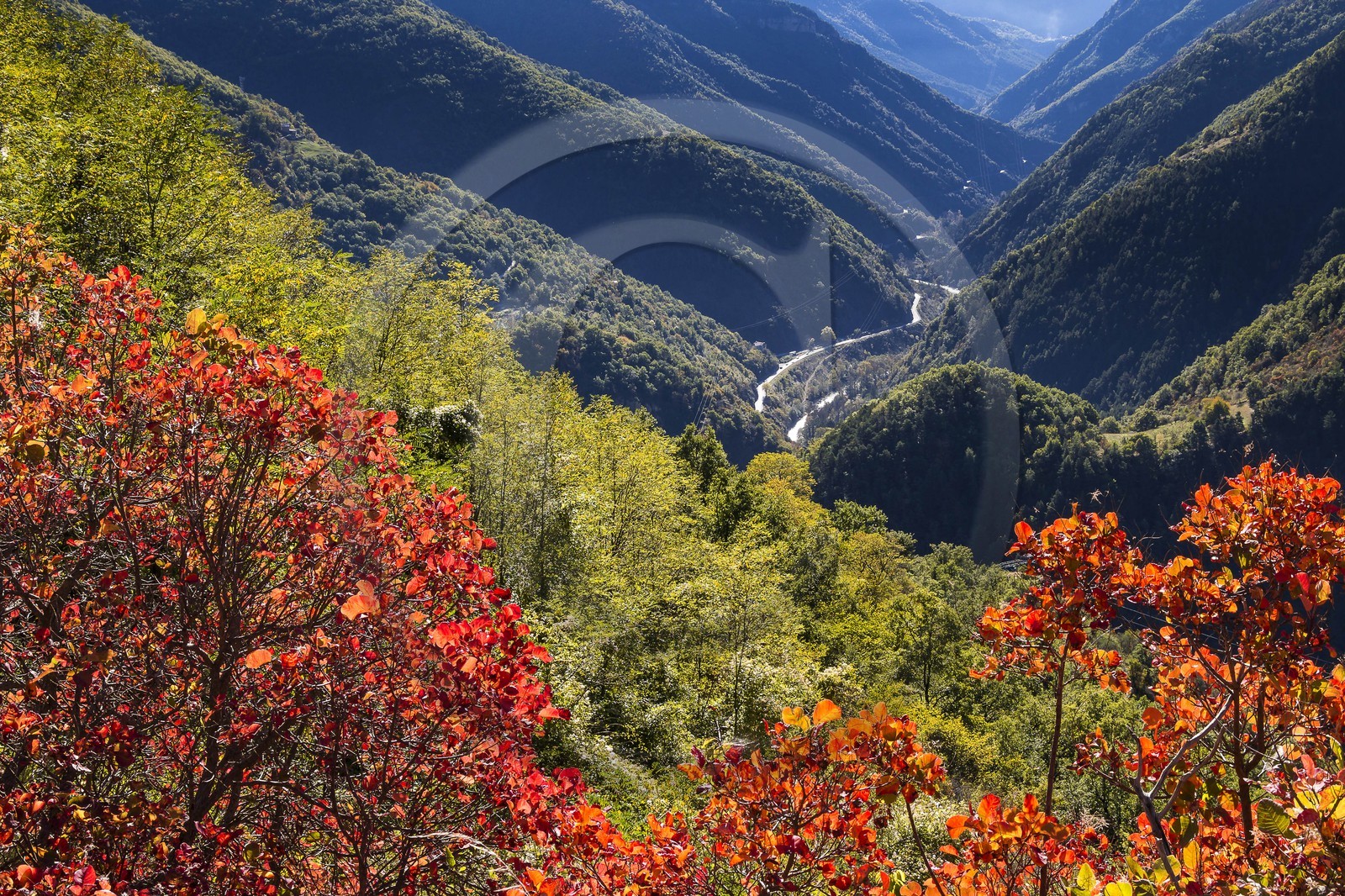 Vallée de la Tinée, Saint-Sauveur-sur-Tinée
