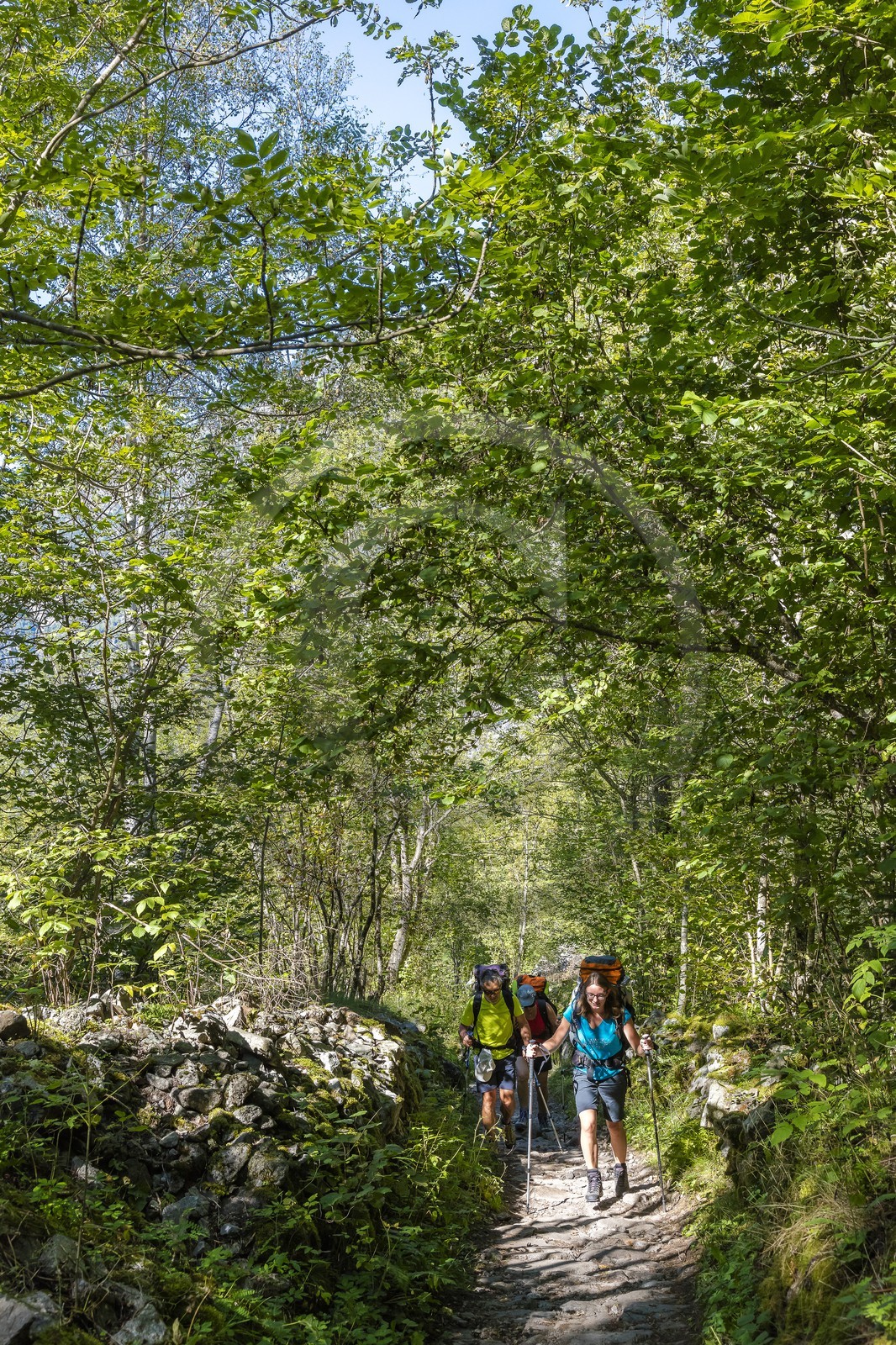Randonnée pédestre sur le GR54