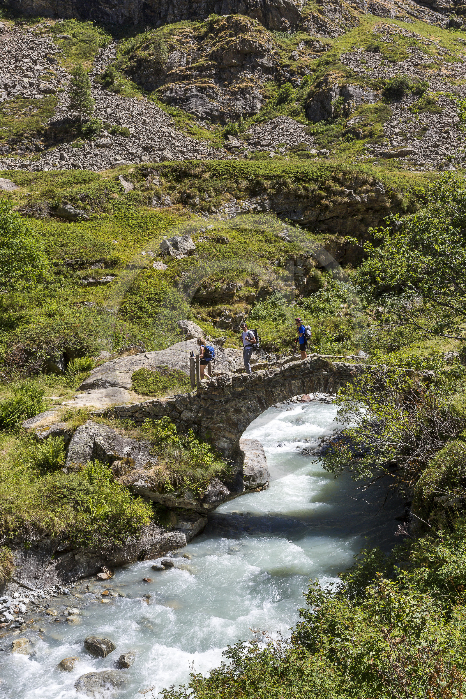 Randonnée pédestre