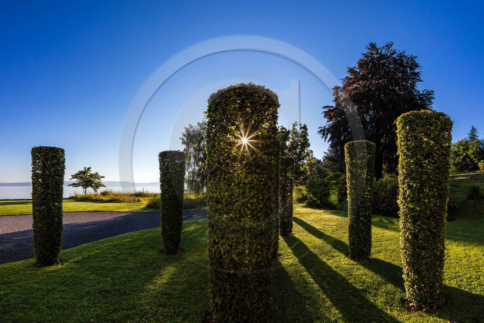 Les jardins de l'eau du Pré Curieux