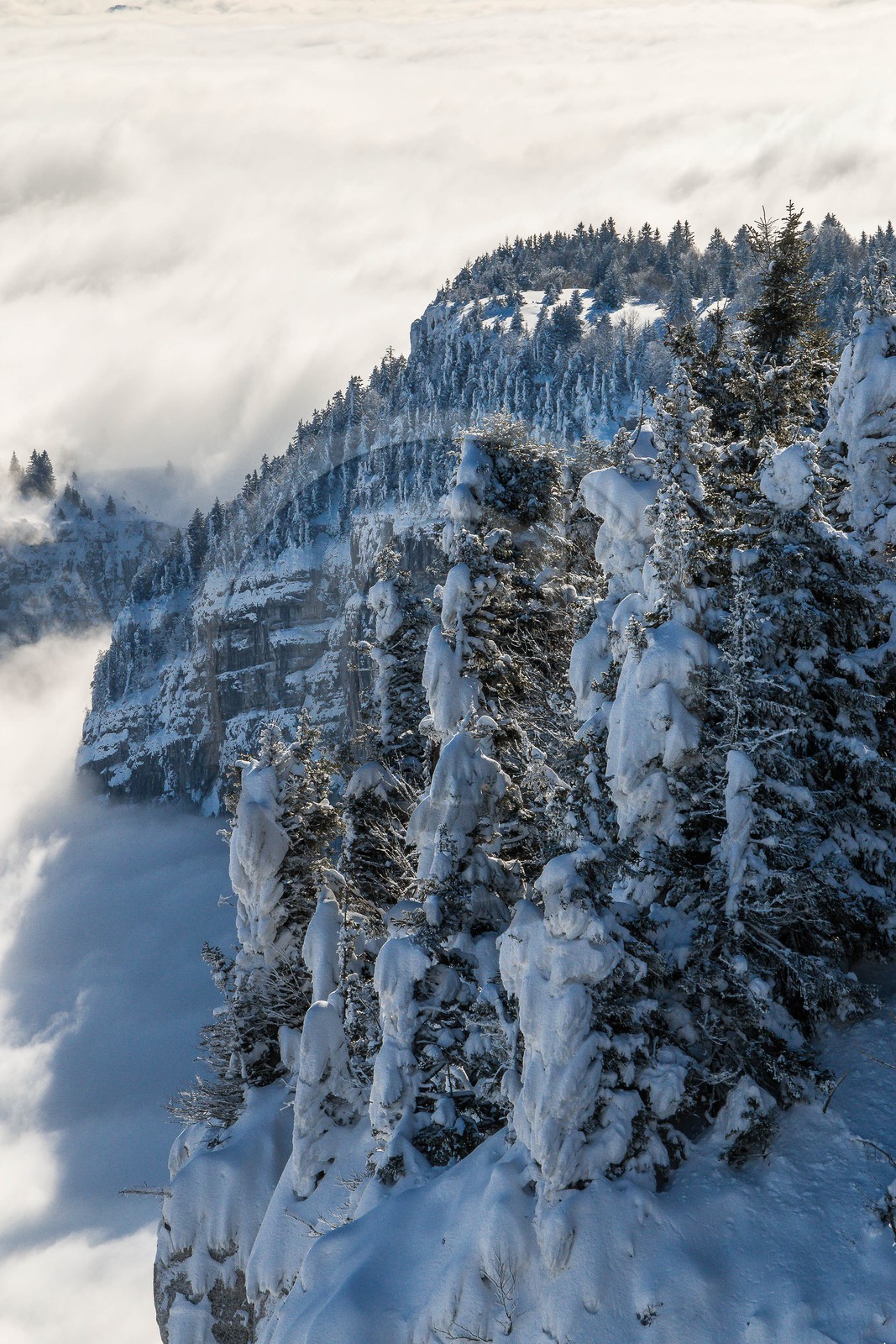 ENS de l'Isère, Plateau de la Molière et du Sornin