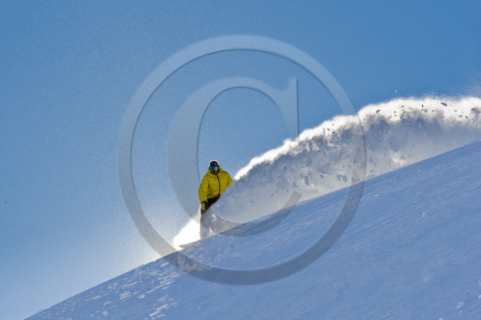 Surf des neige, Snowboard