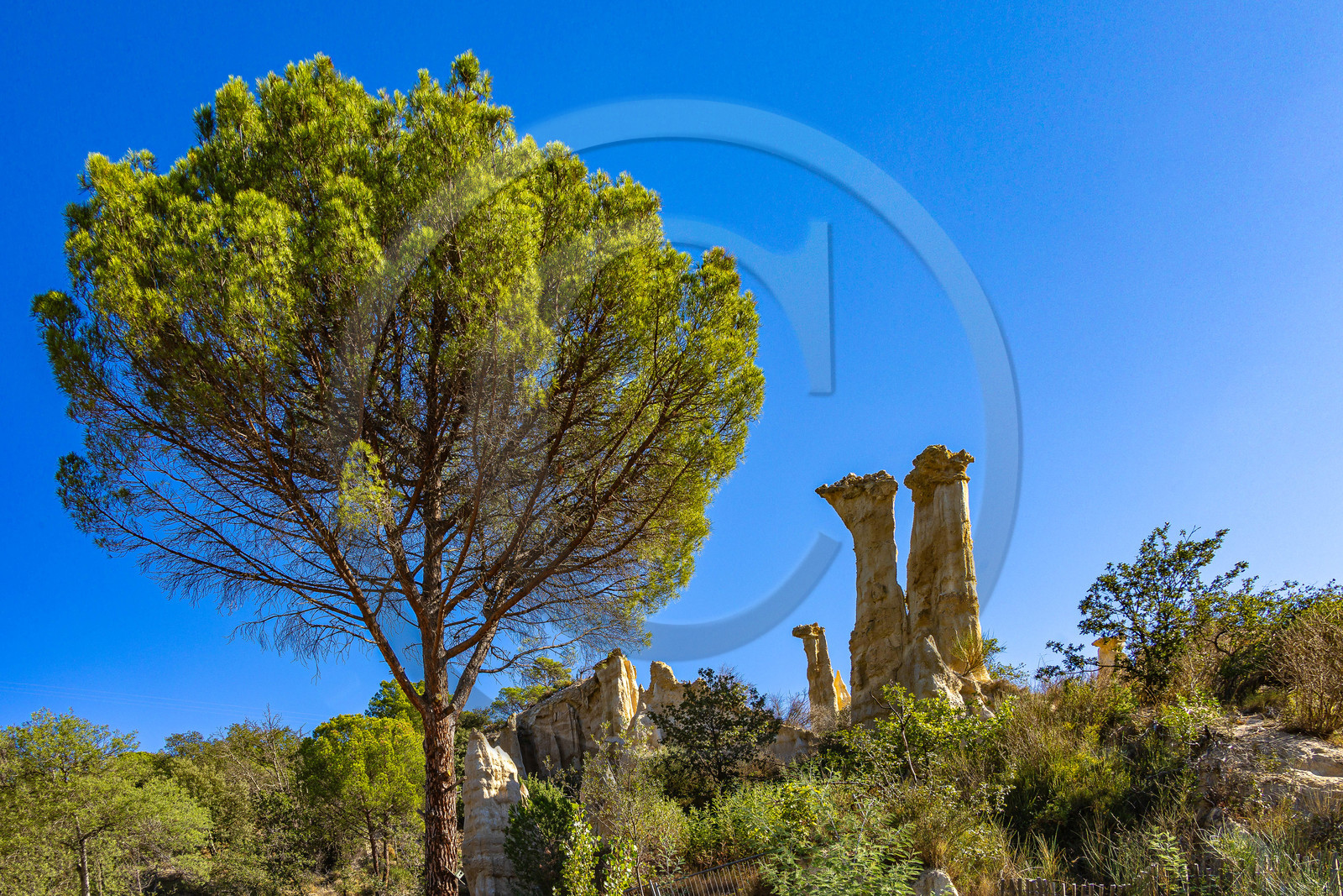 Orgues d'Ille-sur-Têt