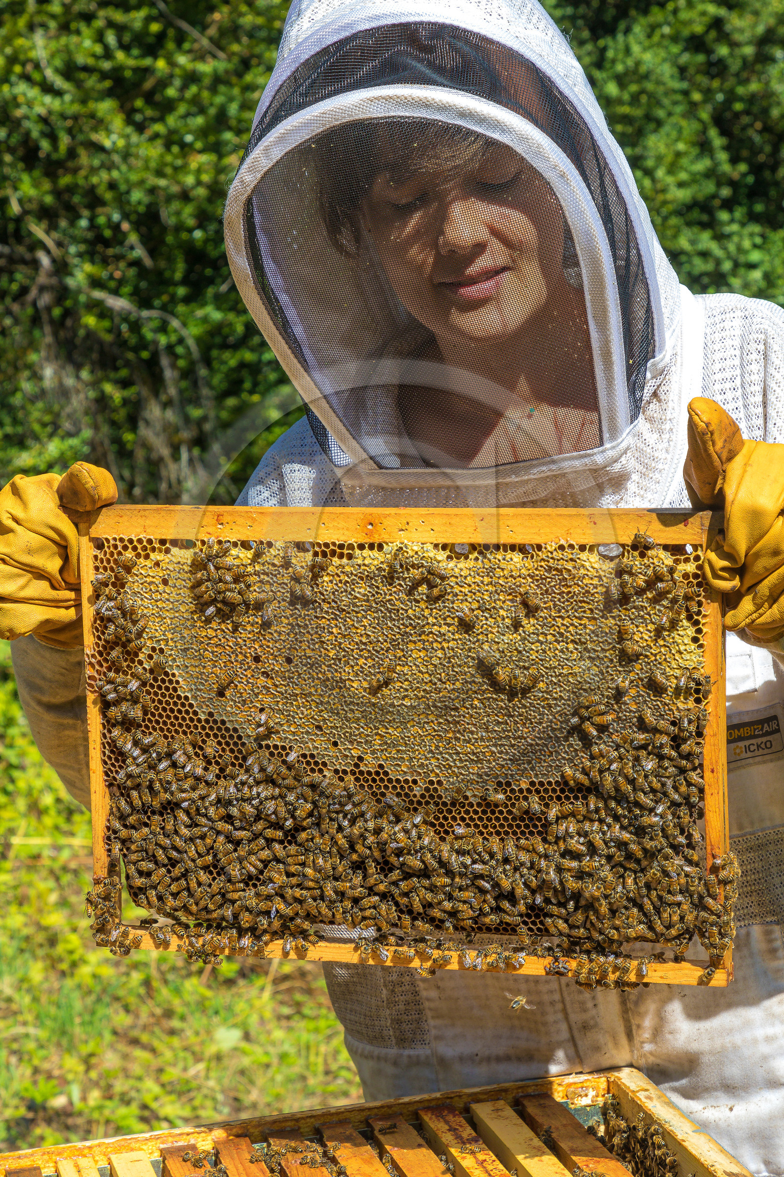 Margaux et Didier Pissard, apiculteurs