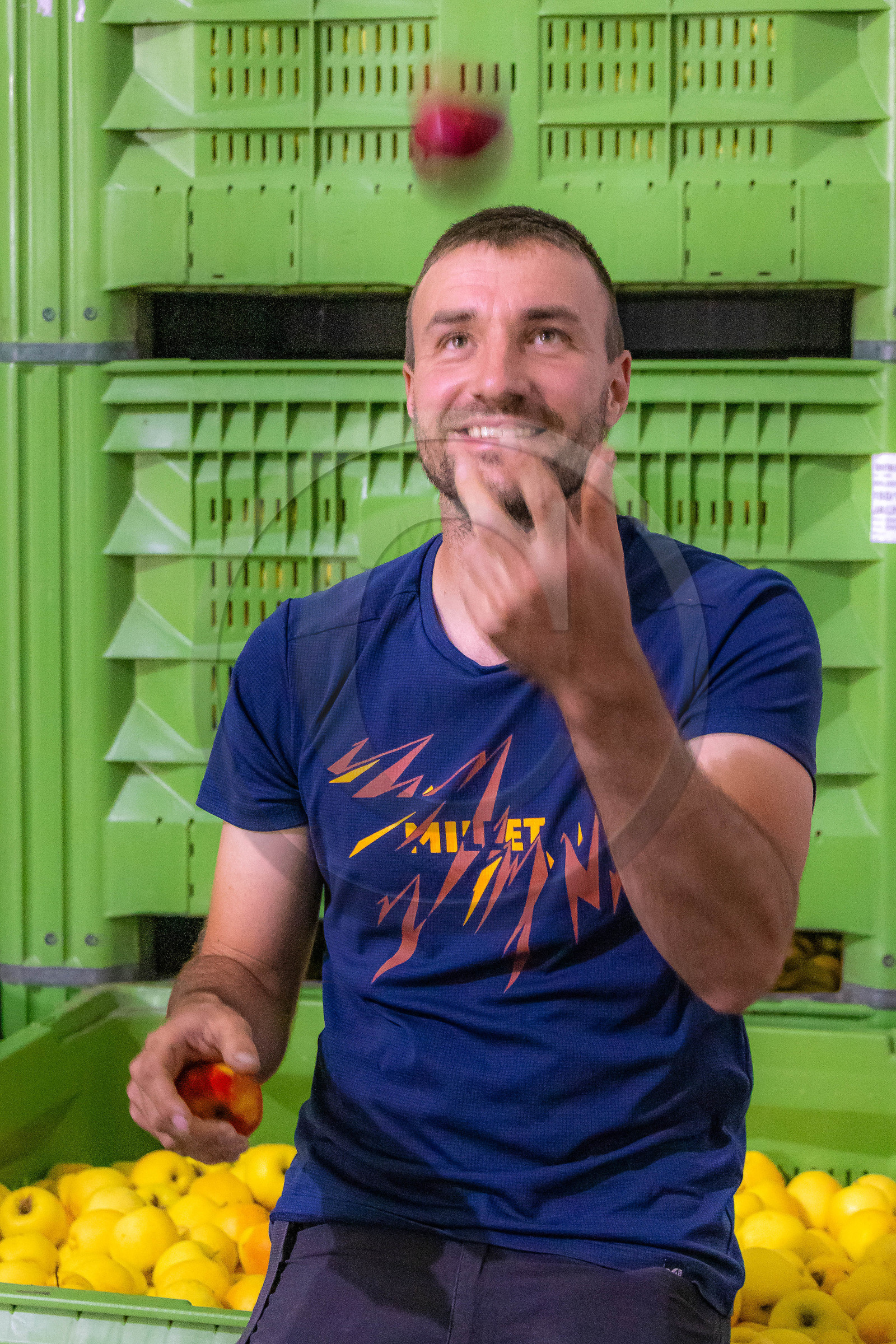 Melve, Gaec de la Maurelle, Adrien Megy