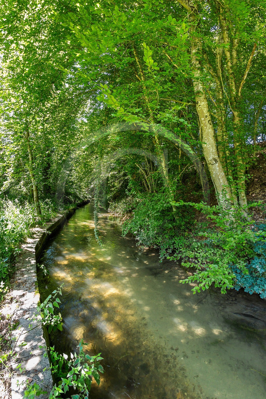 ENS de l'Isère, étang de Cote Manin
