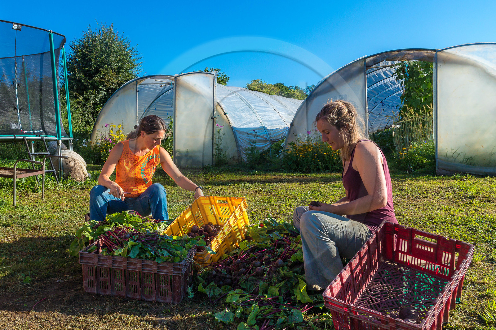 LéguMontagne, Sylvie Jaussaud et  Bertille Gieu, Maraîchères bio