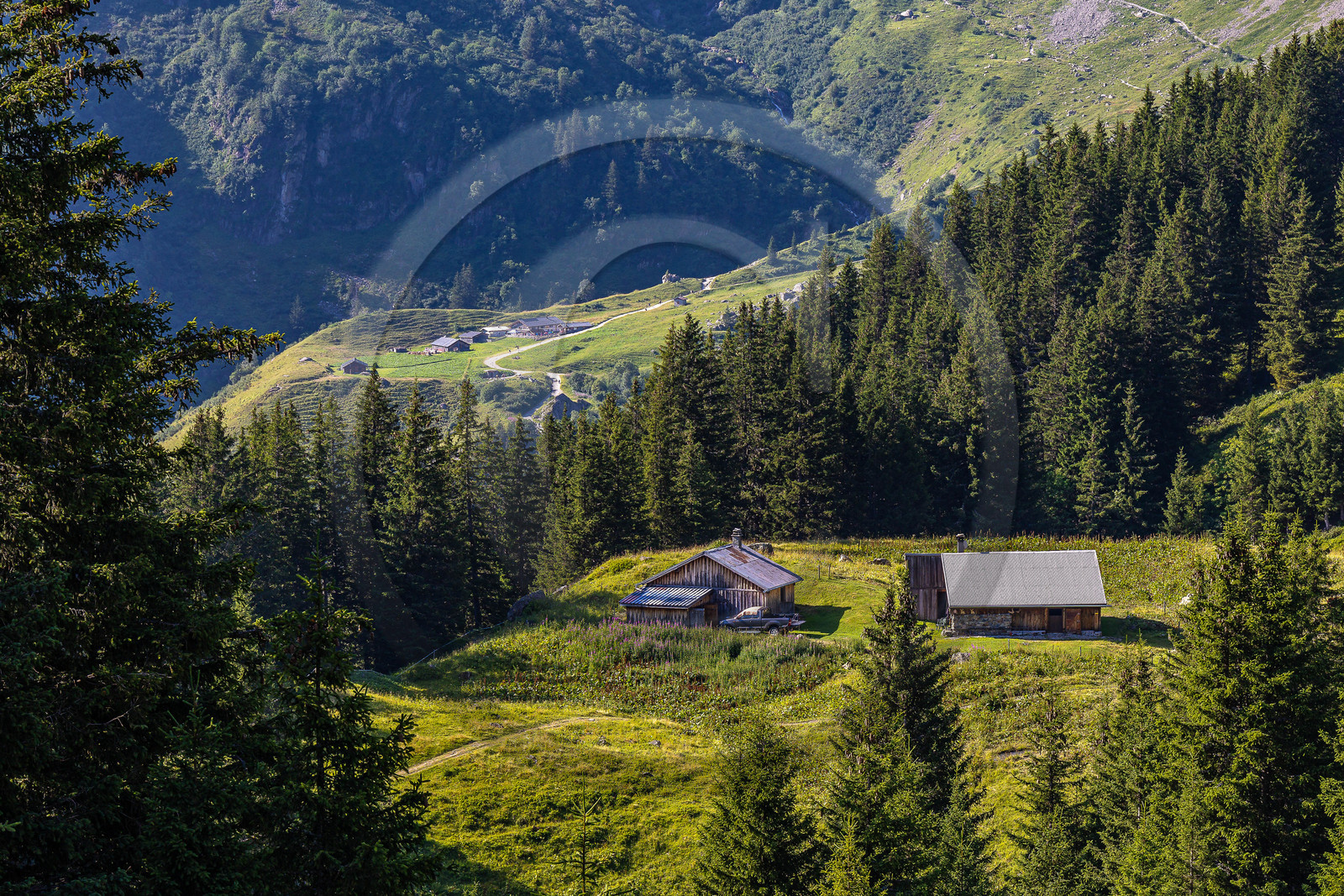 Réserve Naturelle des Contamines-Montjoie