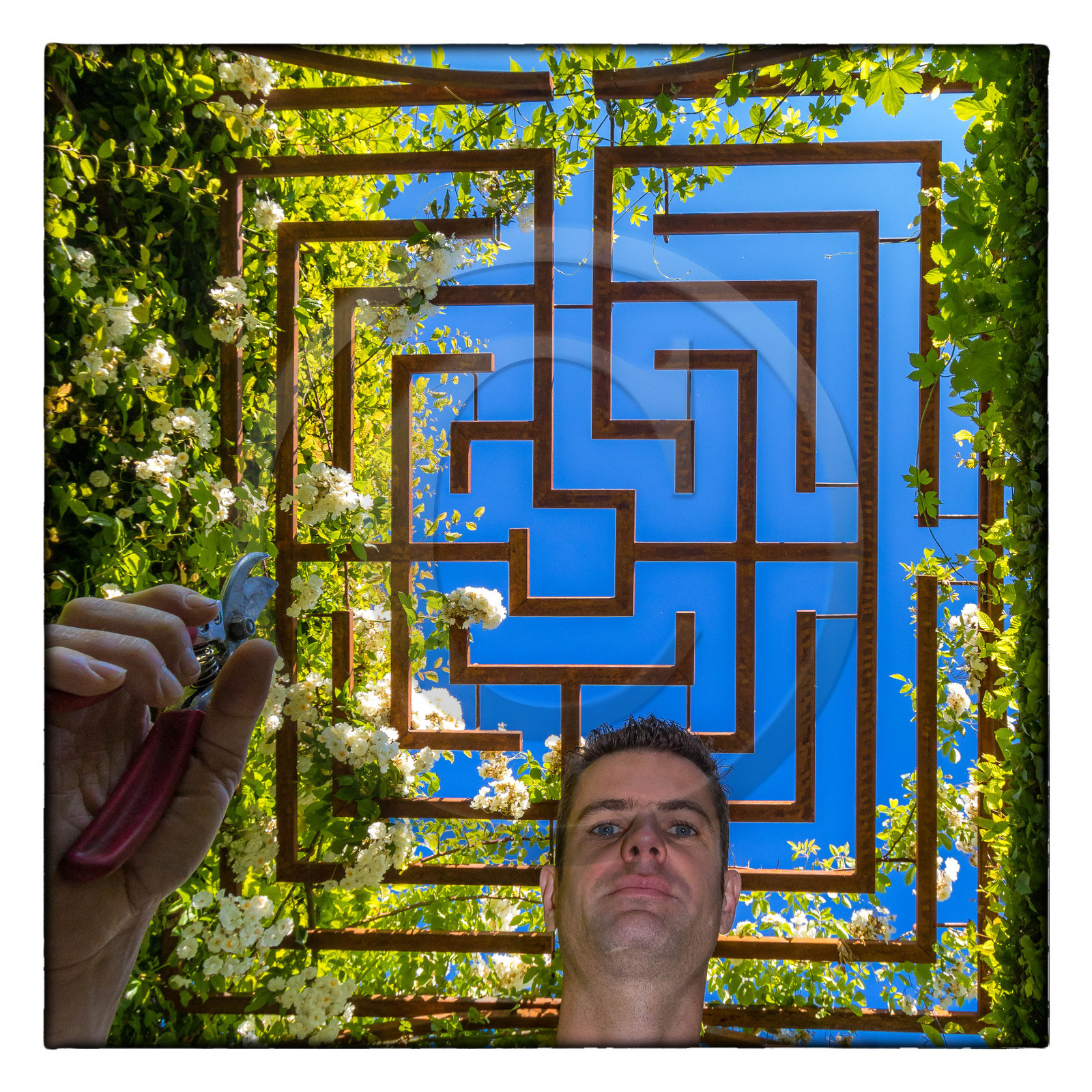 Matthieu Constans, chef jardinier du Jardin des Cinq Sens