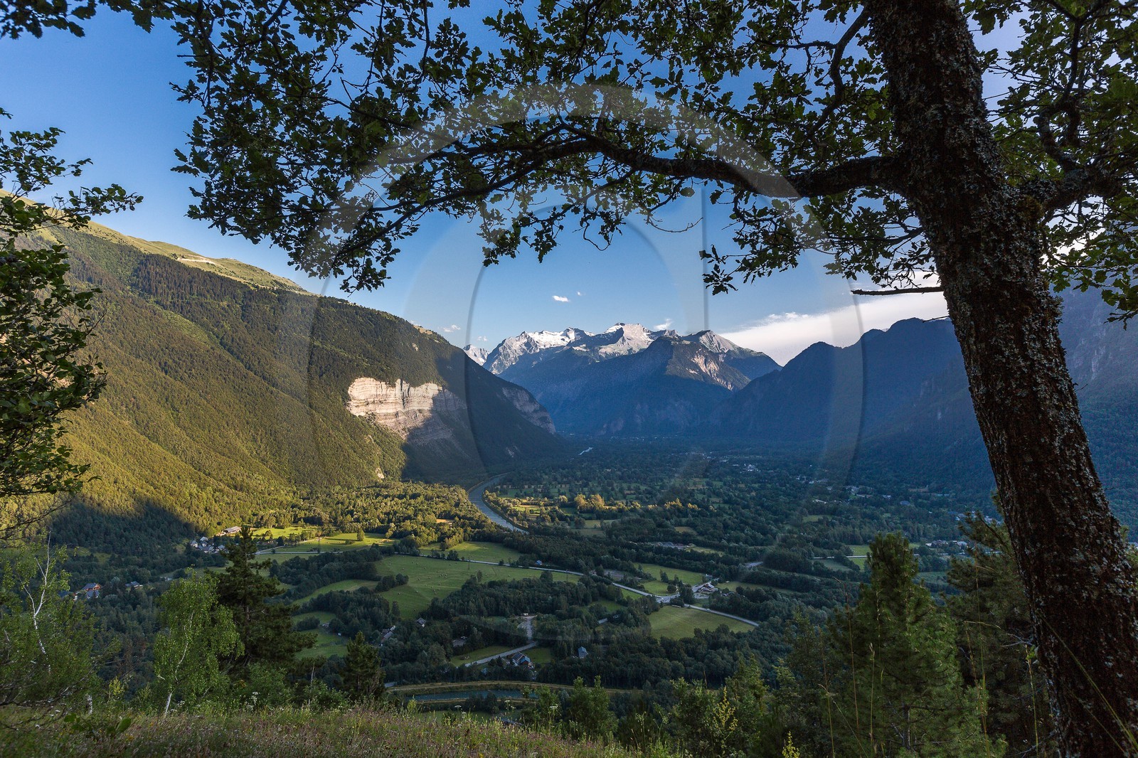 ENS de l'Isère, Vieille morte de Bourg d'Oisans