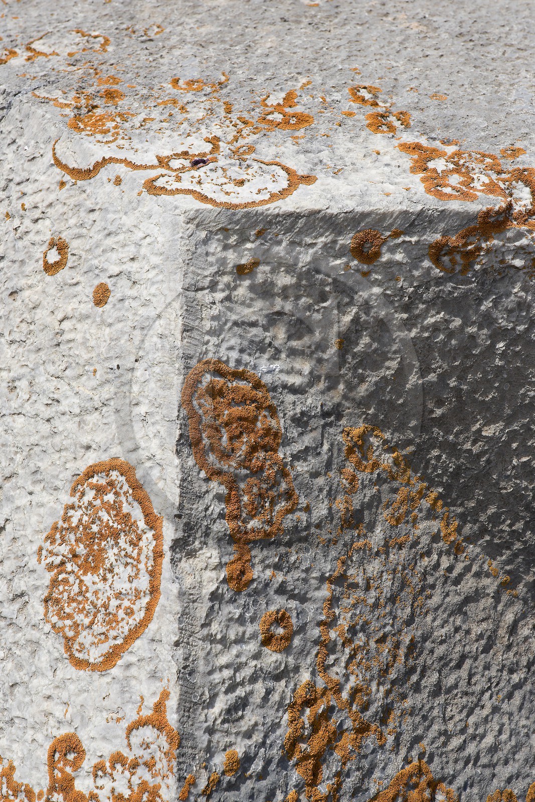 Briançon, Fort des Têtes