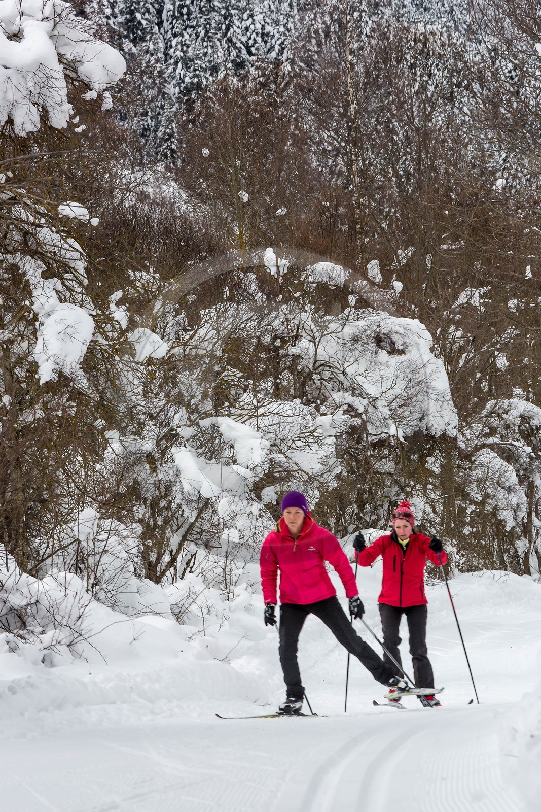 La Chapelle-en-Valgaudemar, ski nordique