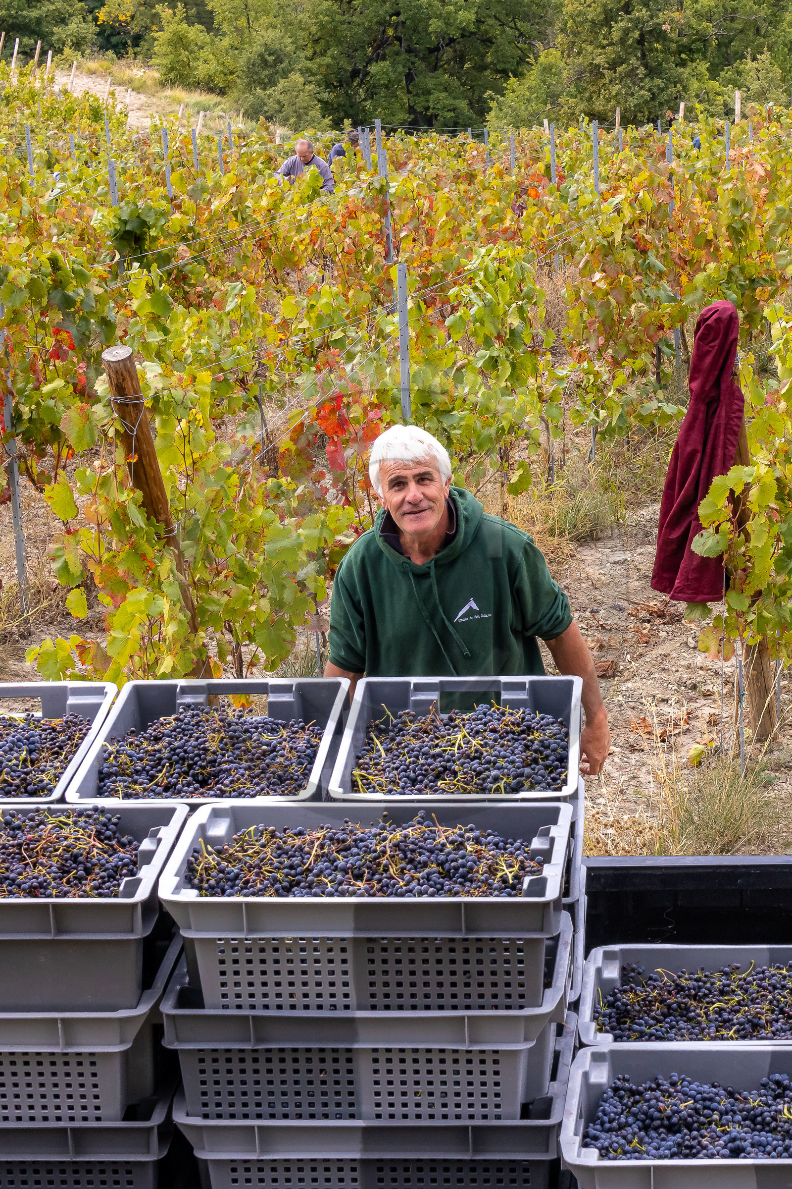 Domaine du Mont Guillaume