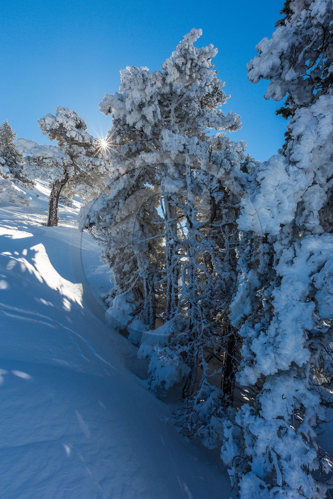 Espace naturel sensible de l'Isère, Col du Coq
