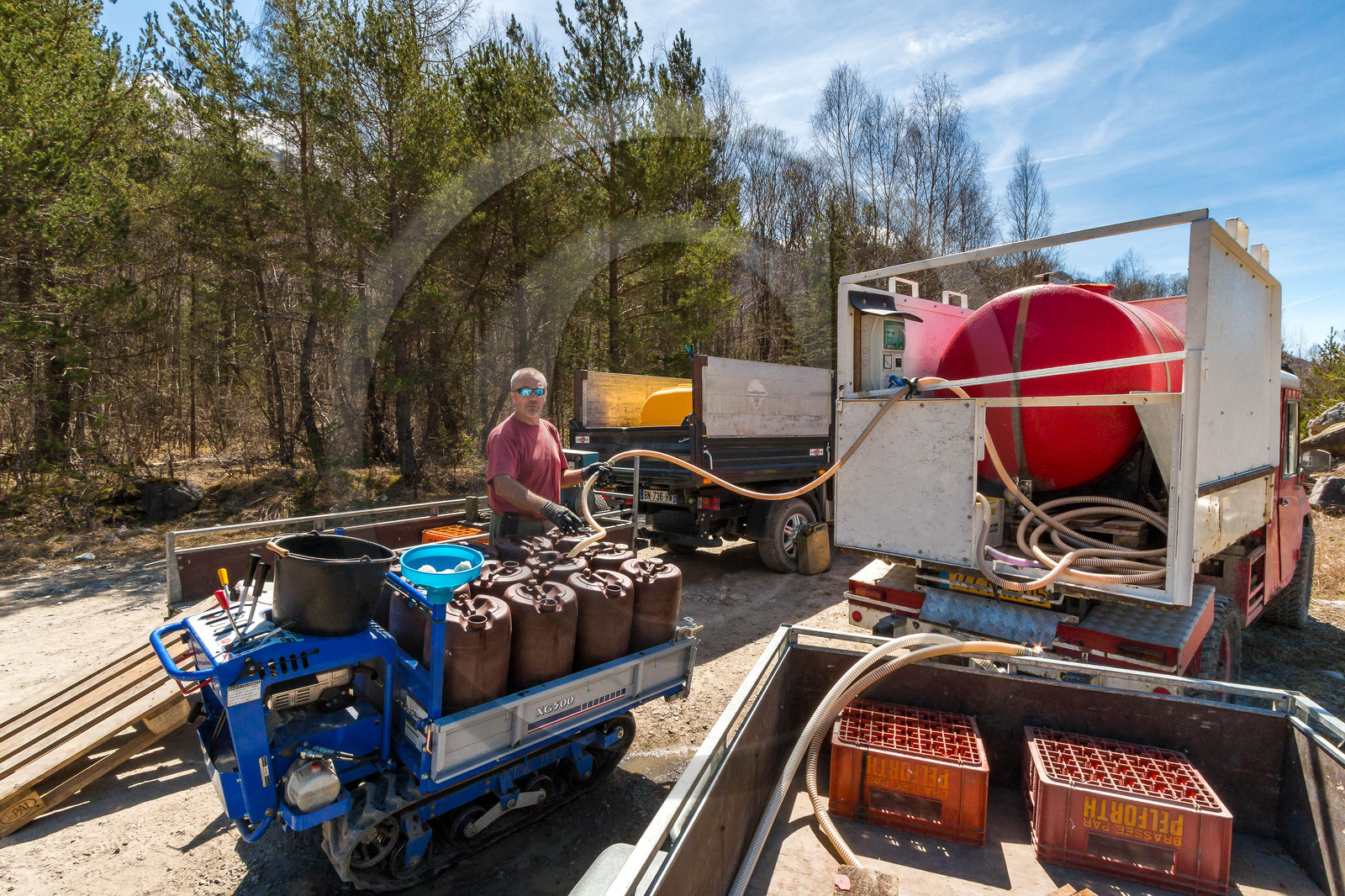Récolte de sève de bouleau