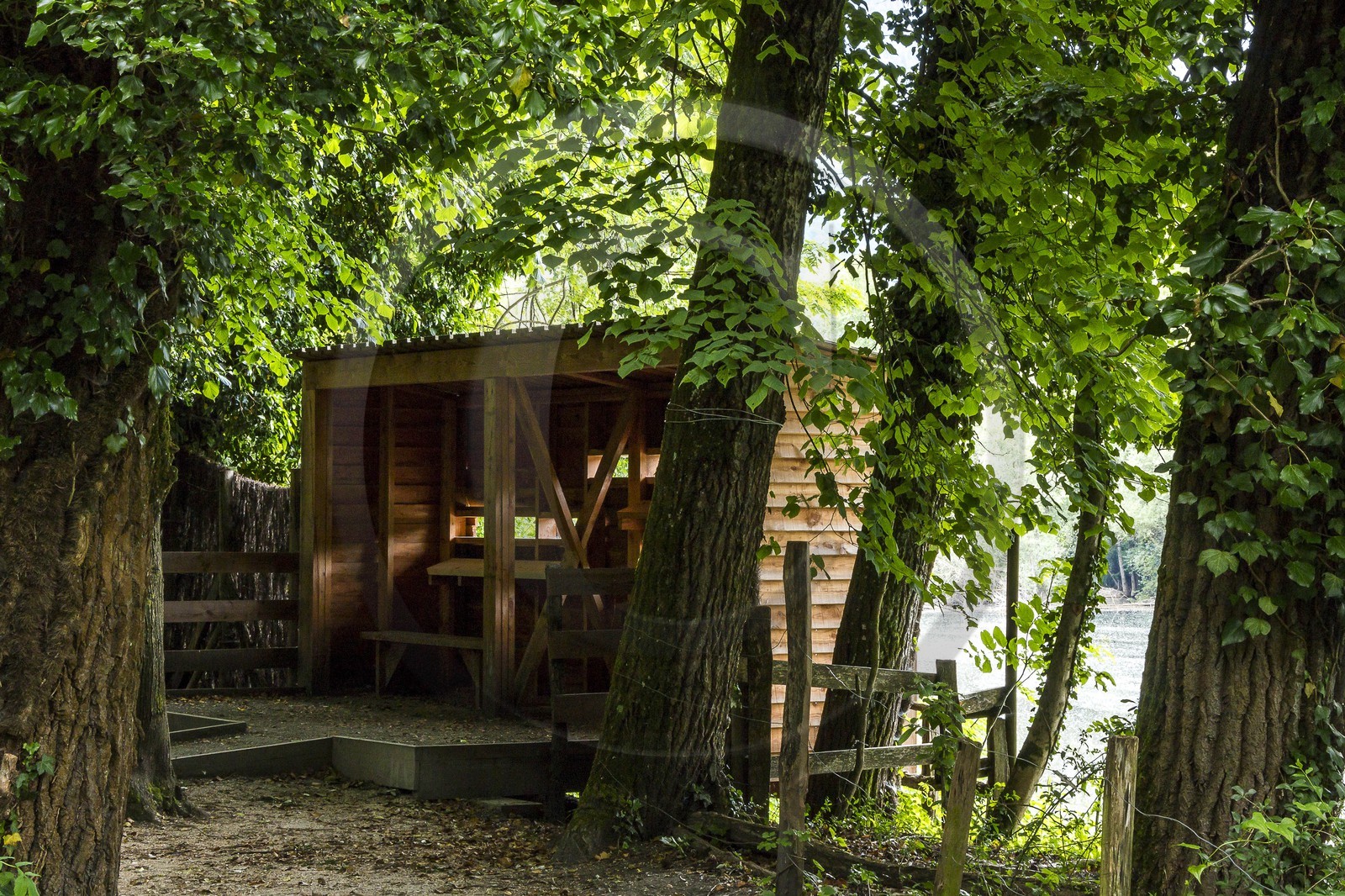 ENS de l'Isère, bois de la Bâtie