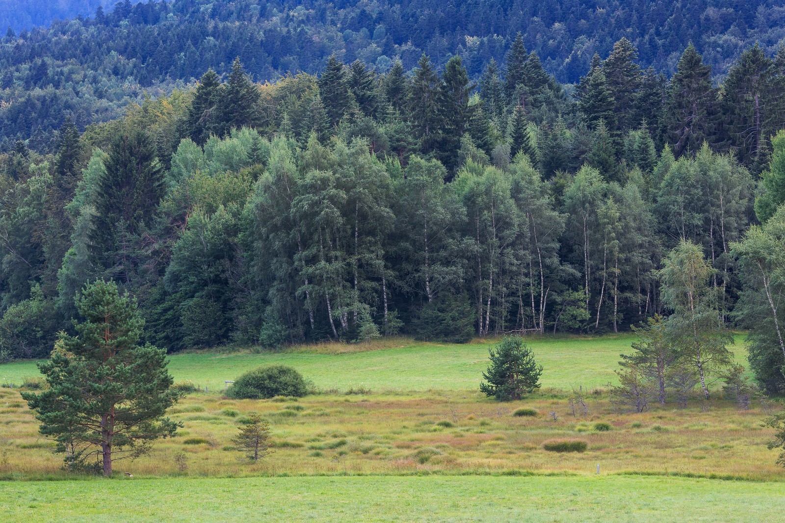 ENS de l'Isère,Tourbières du Peuil