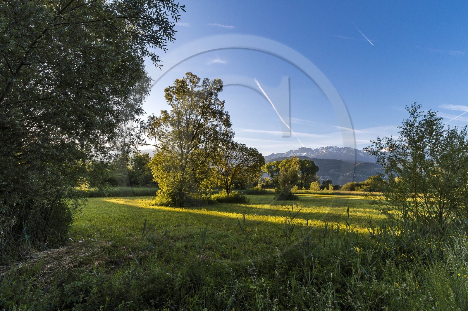 ENS de l'Isère, Marais de Montfort