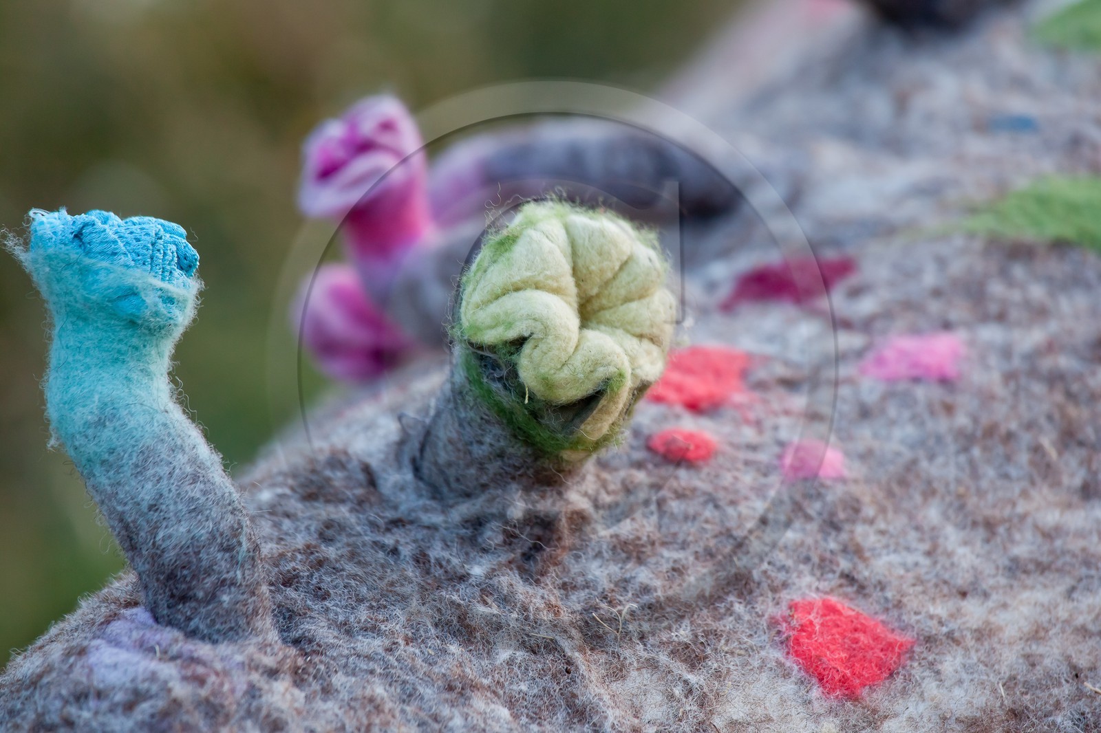 Sentiers Art et Nature Queyras et Val Varaita, Stéphanie Cailleau