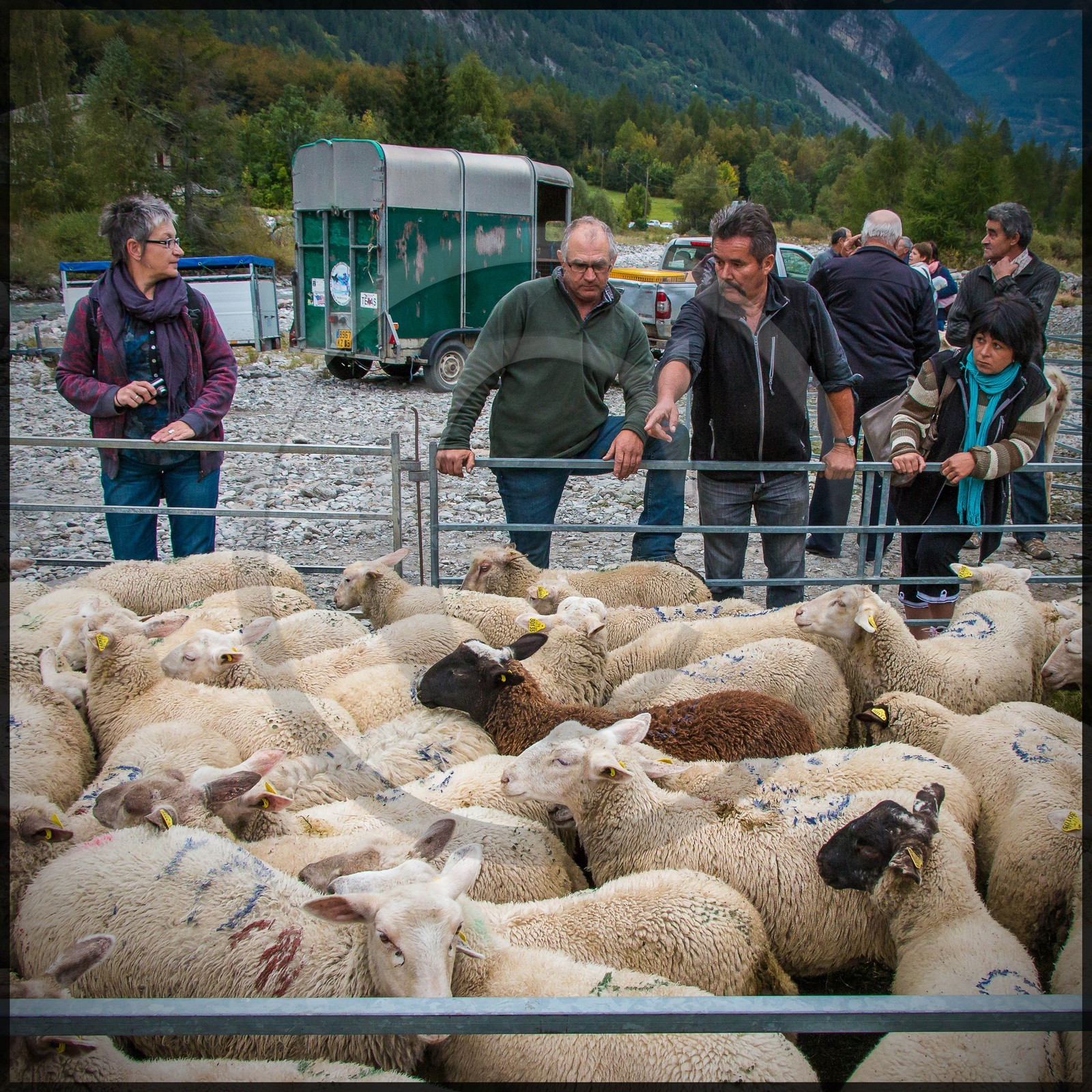 Vallée de Champoléon, Les Borels, foire au tardon