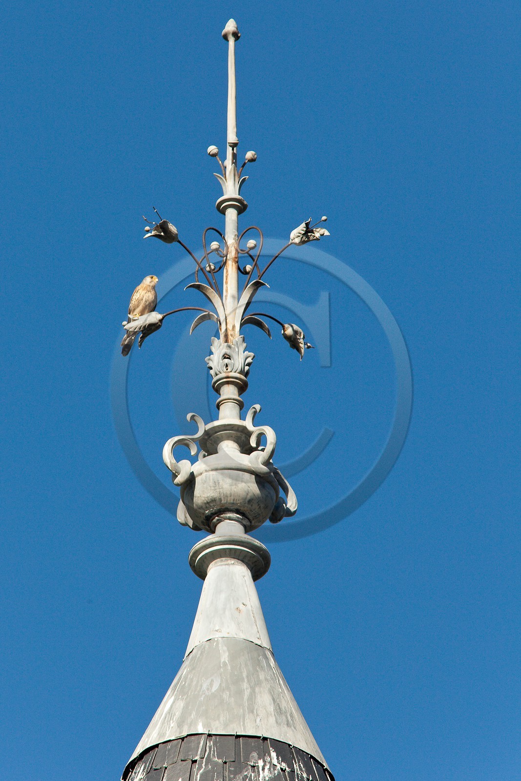 Château de Picomtal