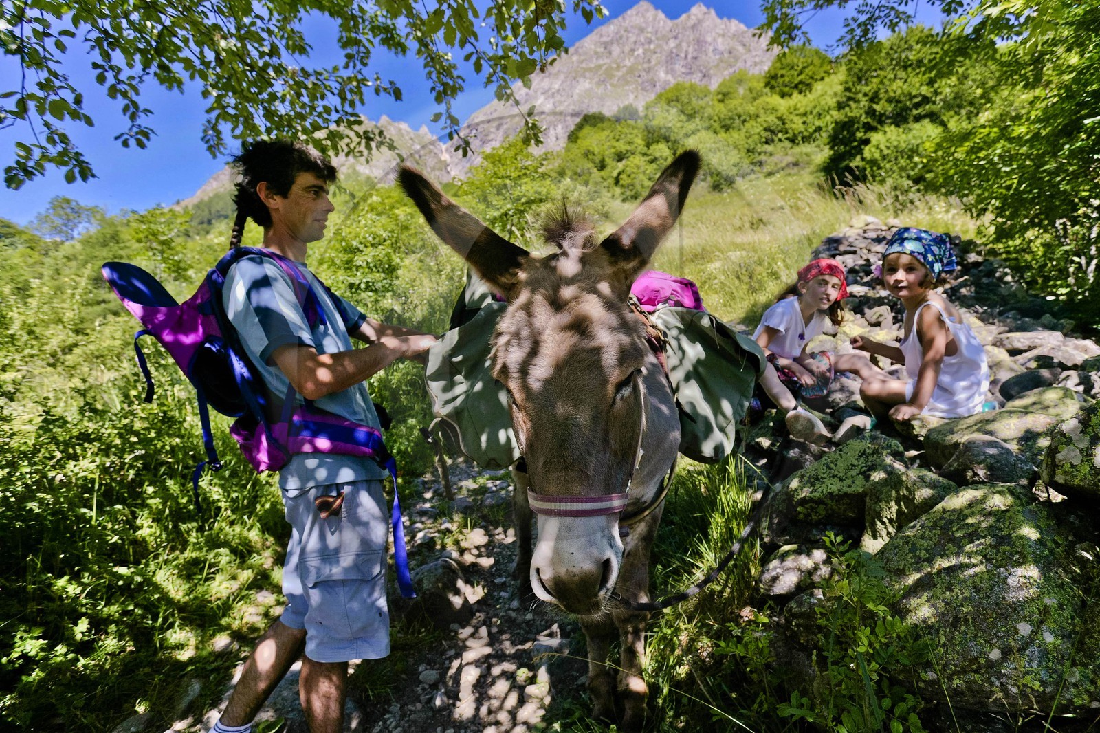 Sentanes, randonnée pédestre avec des ânes