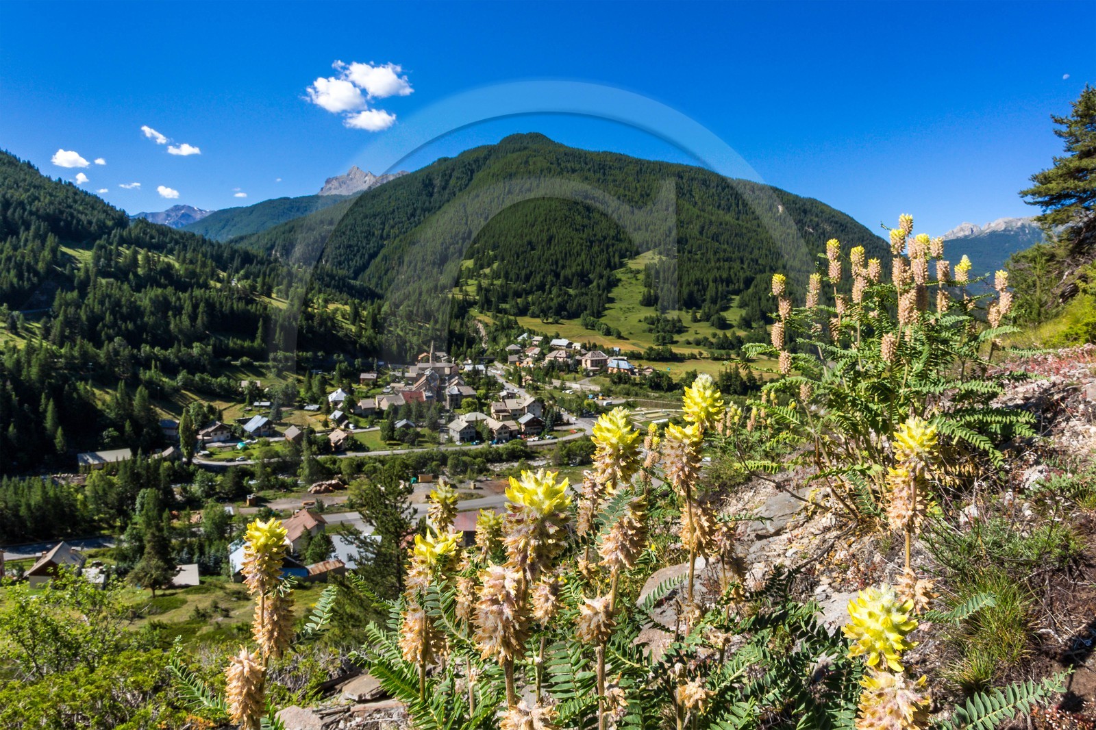 Château-Ville-Vieille, sentier des astragales