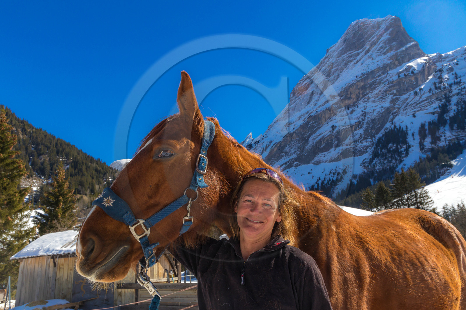Ranch of Ancolie, Véronique Lefèvre., ski-joëring