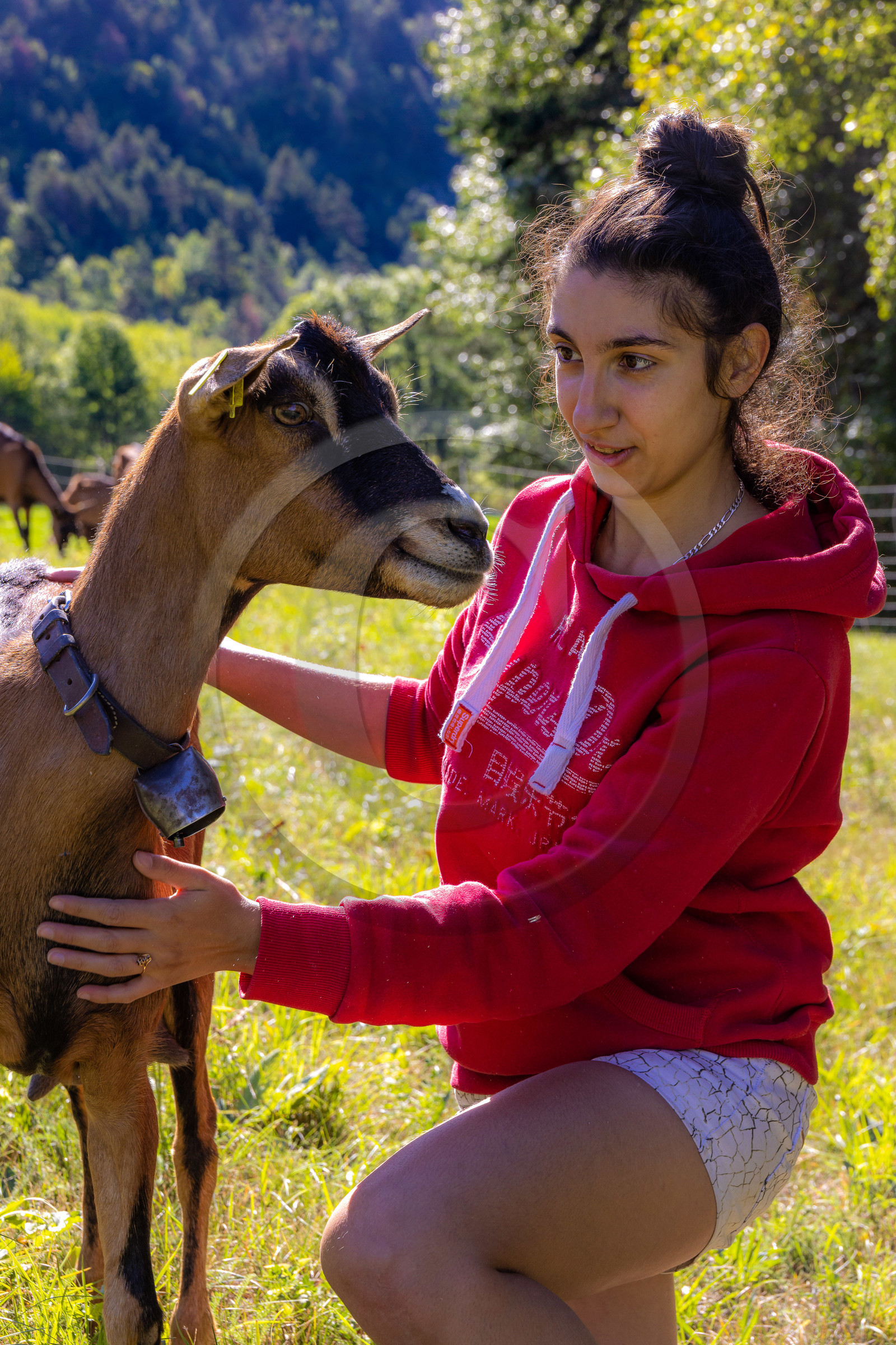 Gaec La Ferme des Ecrins