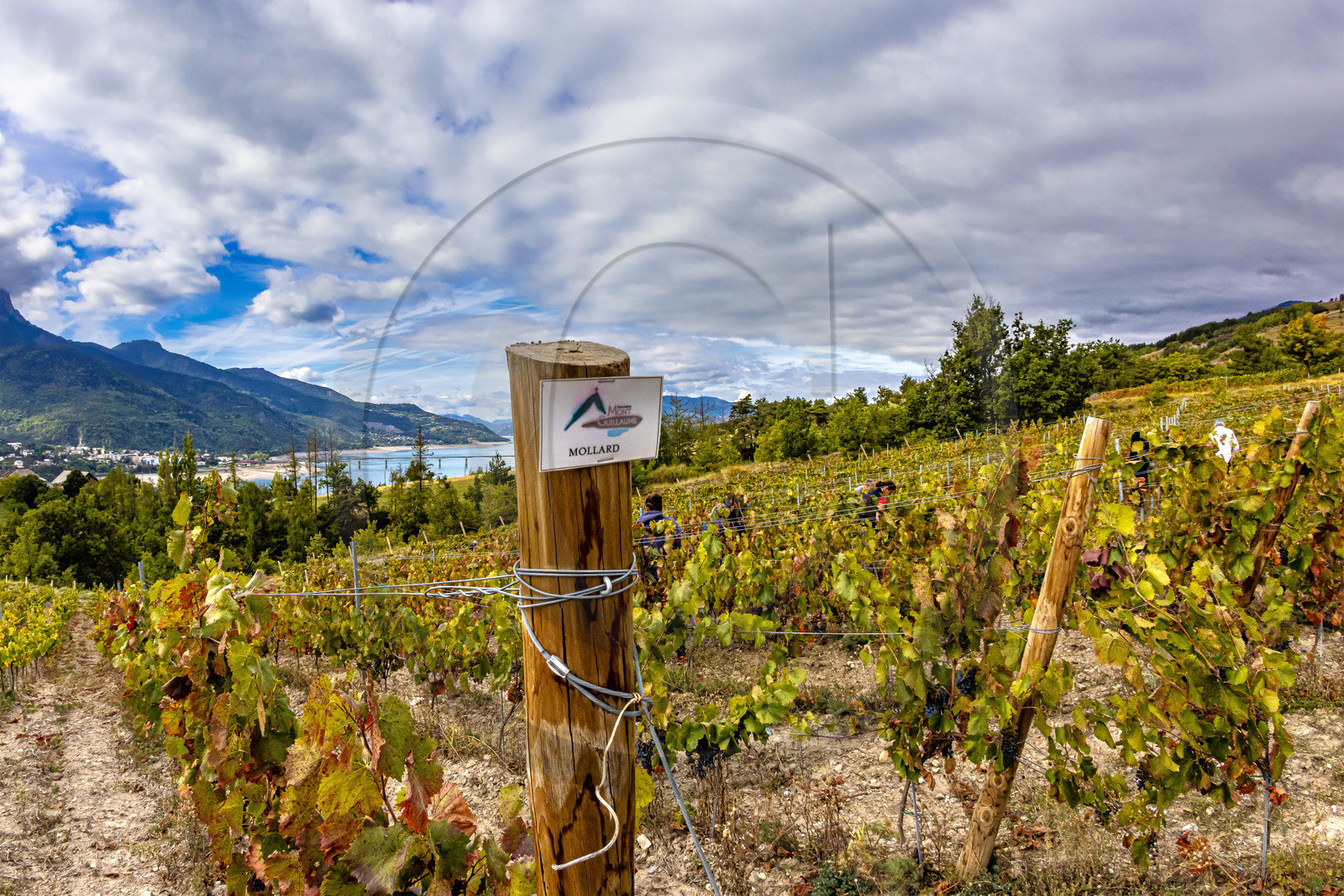 Domaine du Mont Guillaume