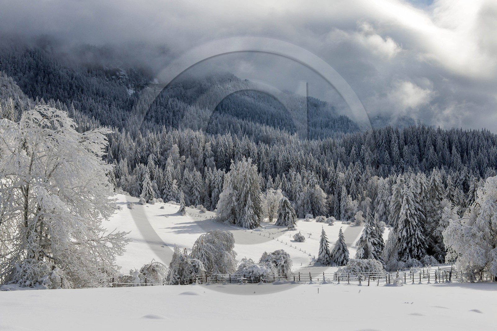 ENS de l'Isère, Les Ecouges