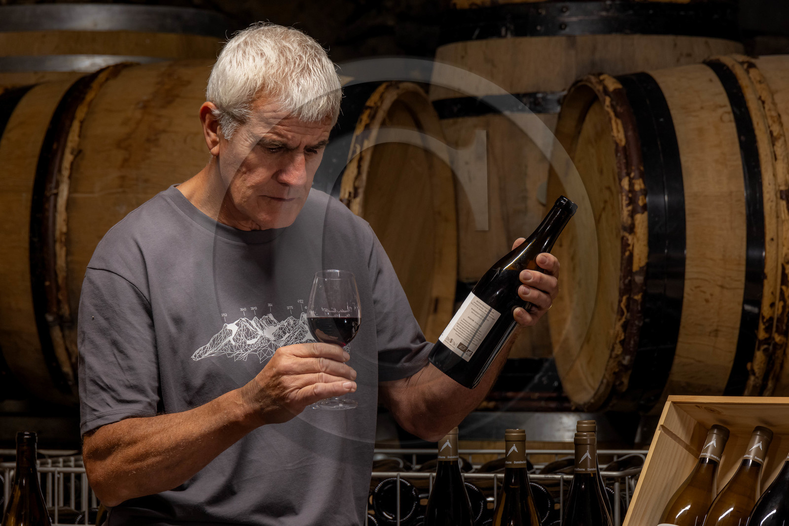 Domaine du Mont Guillaume, Emmanuel Berteloot vigneron