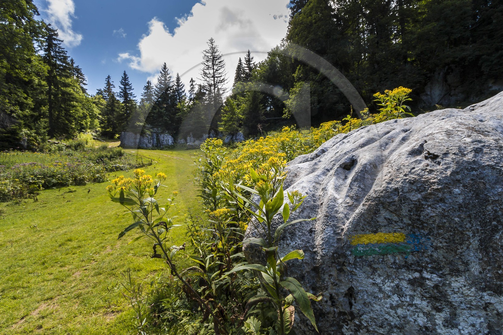 ENS de l'Isère, Plateau de la Molière et du Sornin