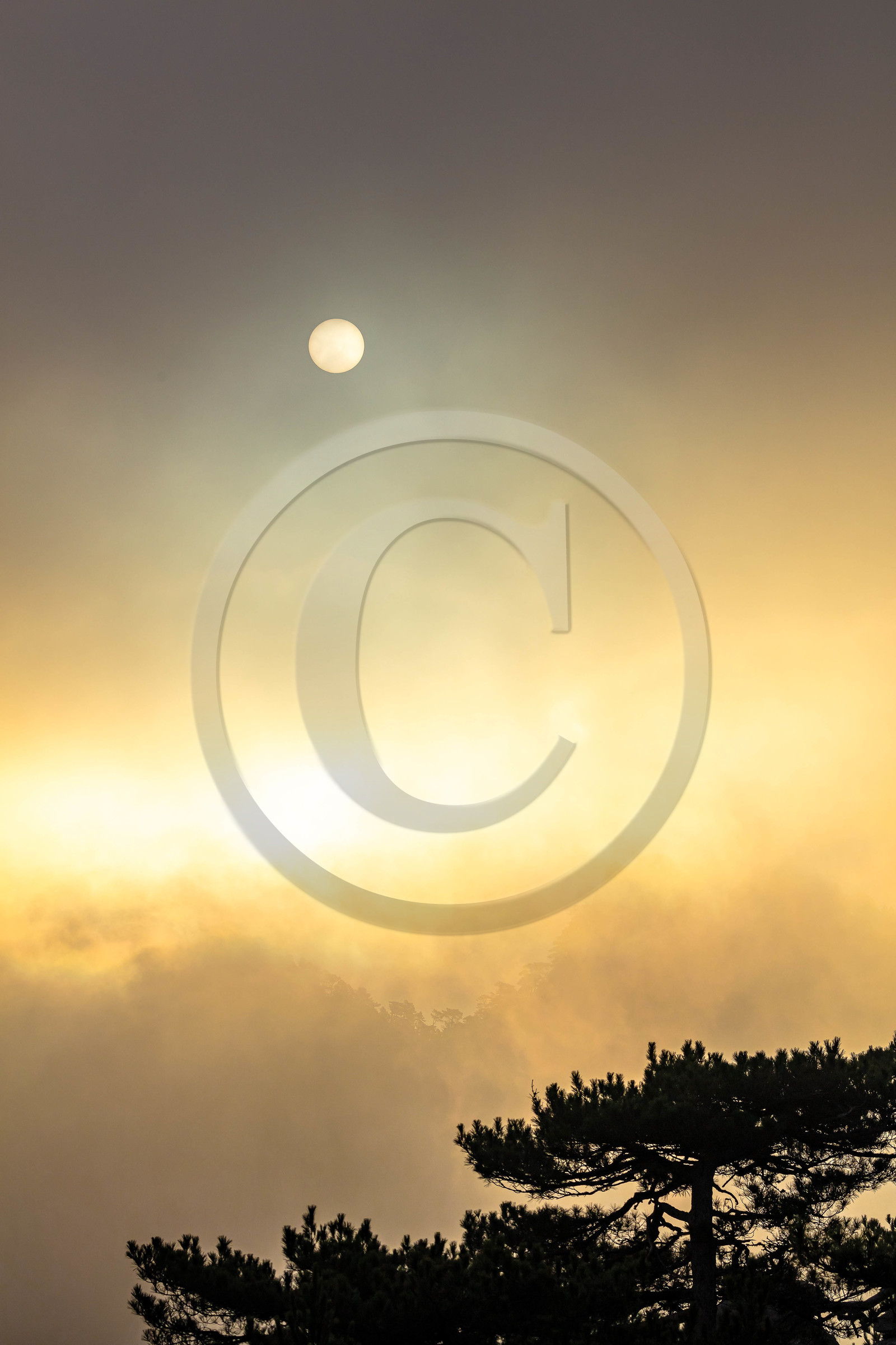 Les Aiguilles de Bavella (forchi di Bavedda )