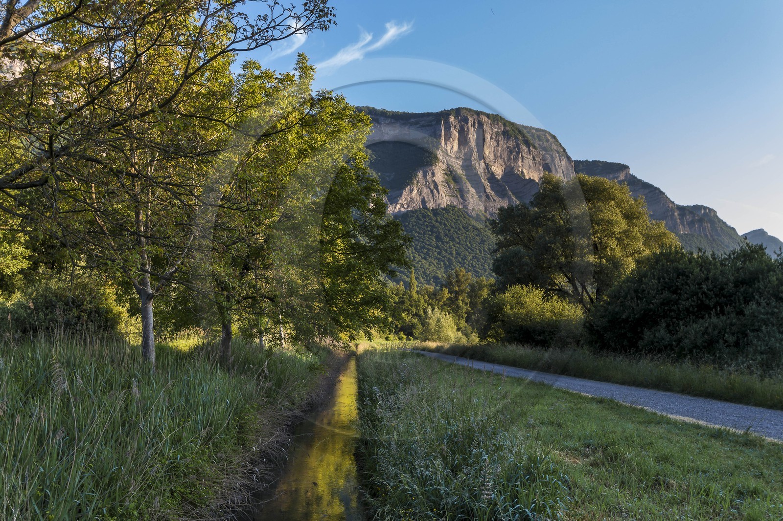 ENS de l'Isère, Marais de Montfort