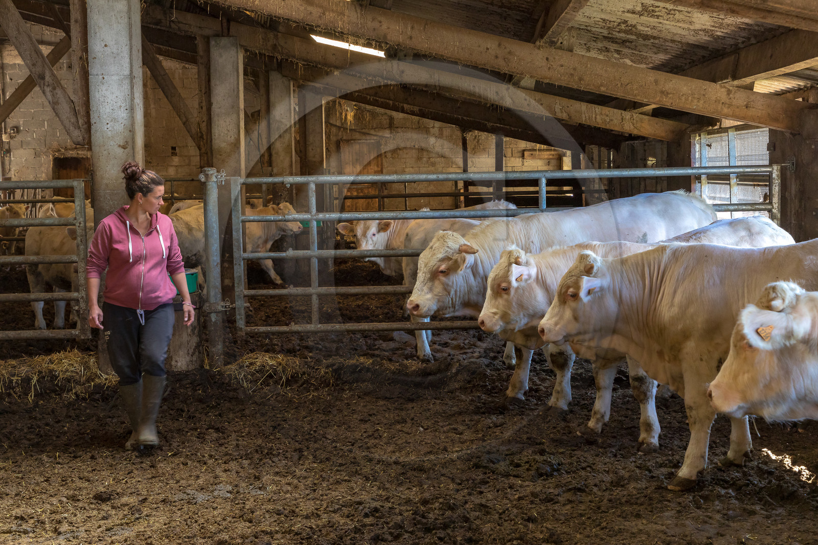 Ferme de Sauron, Laure Marcellin