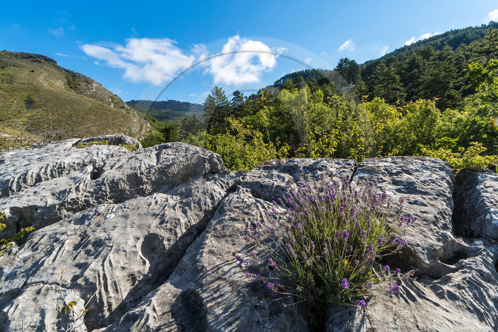Saint-Geniez, Chardavon