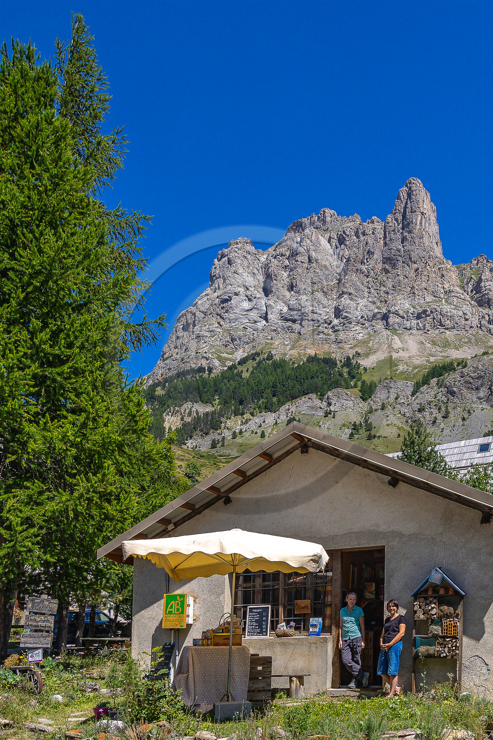 Les cueillettes du Lauzet et la miellerie du Lauzet