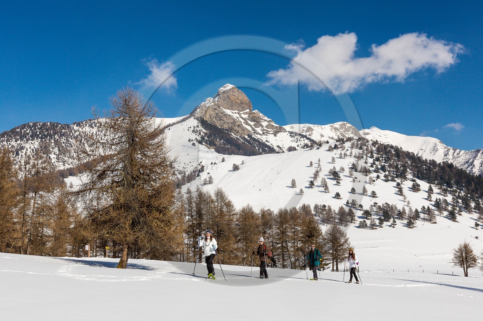 Ancelle, col de Moissière, randonnée à raquettes à neige