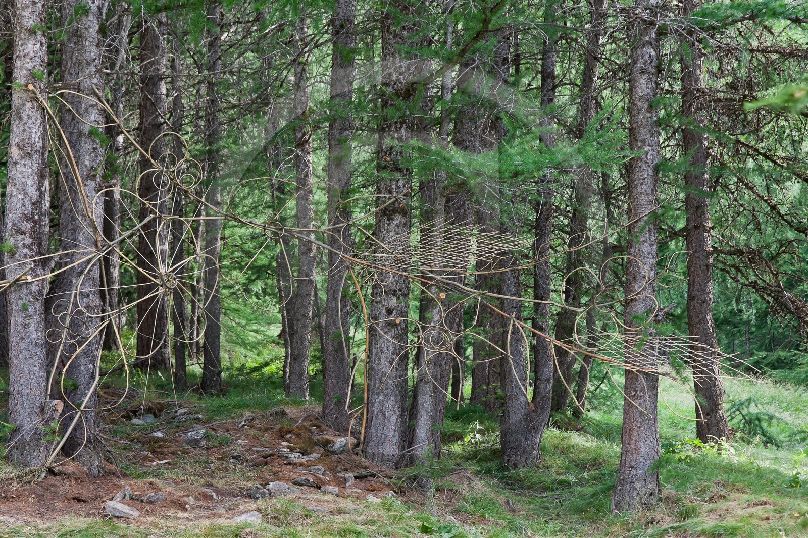 Claire Boucl, Sentiers Art et Nature Queyras et Val Varaita