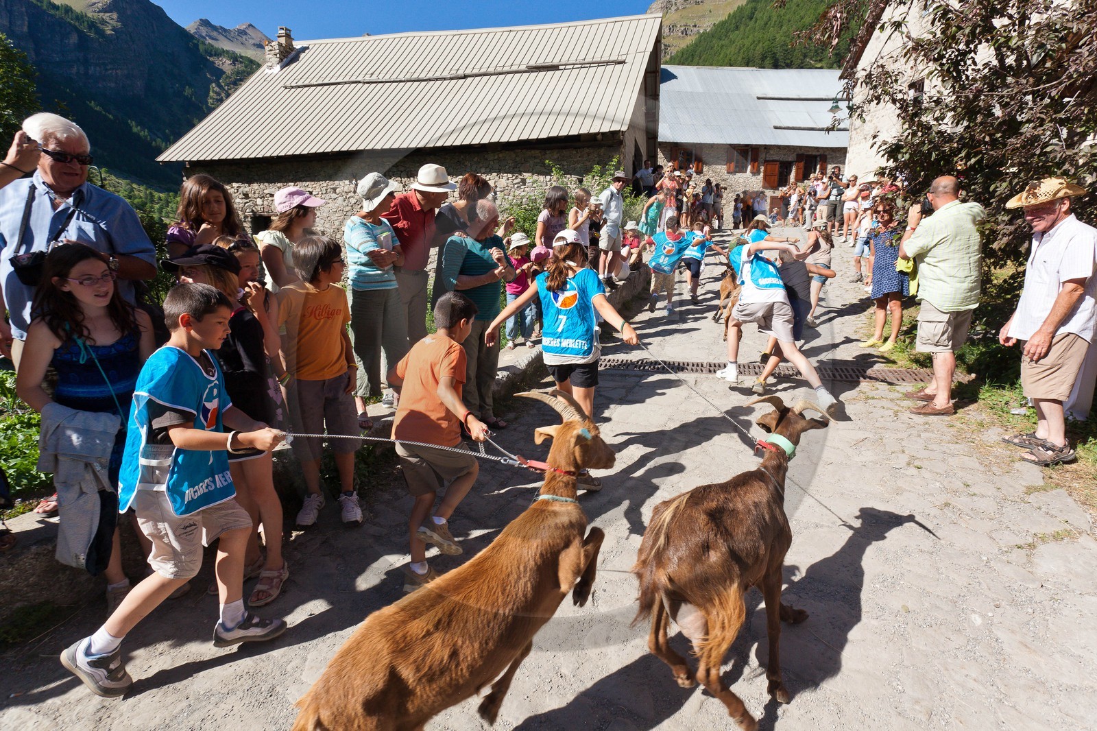 La fête de la Sainte-Anne à Prapic, fin juillet, tiercé de chèvres