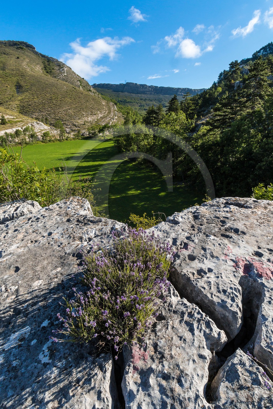 Saint-Geniez, Chardavon