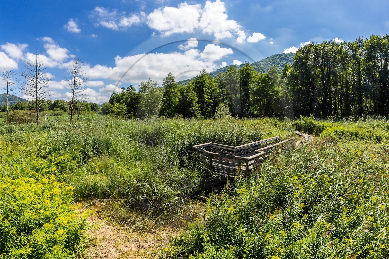ENS de l'Isère, Marais de Chirens