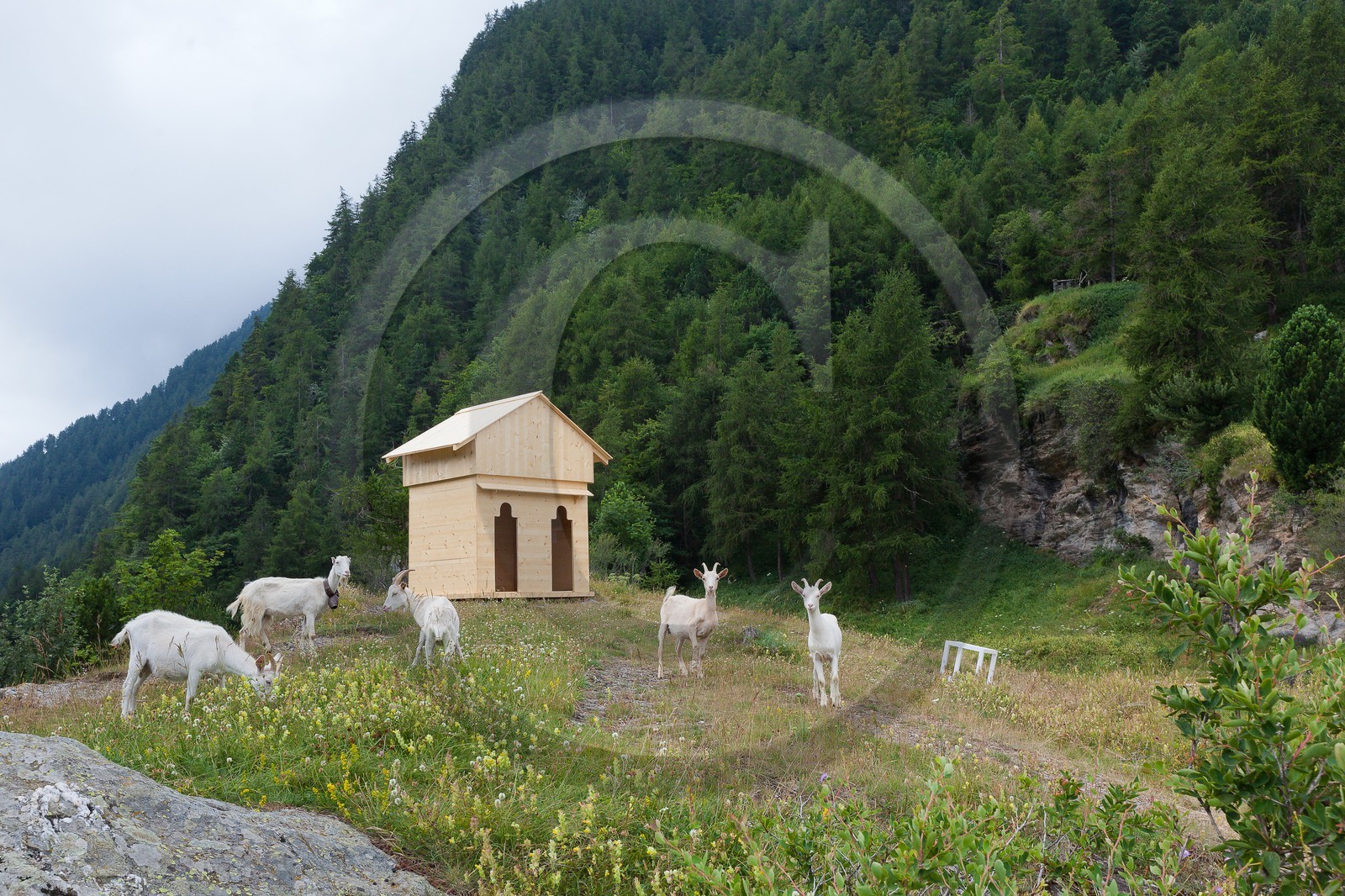 François Méchain, SAN Val Varaita et Queyras